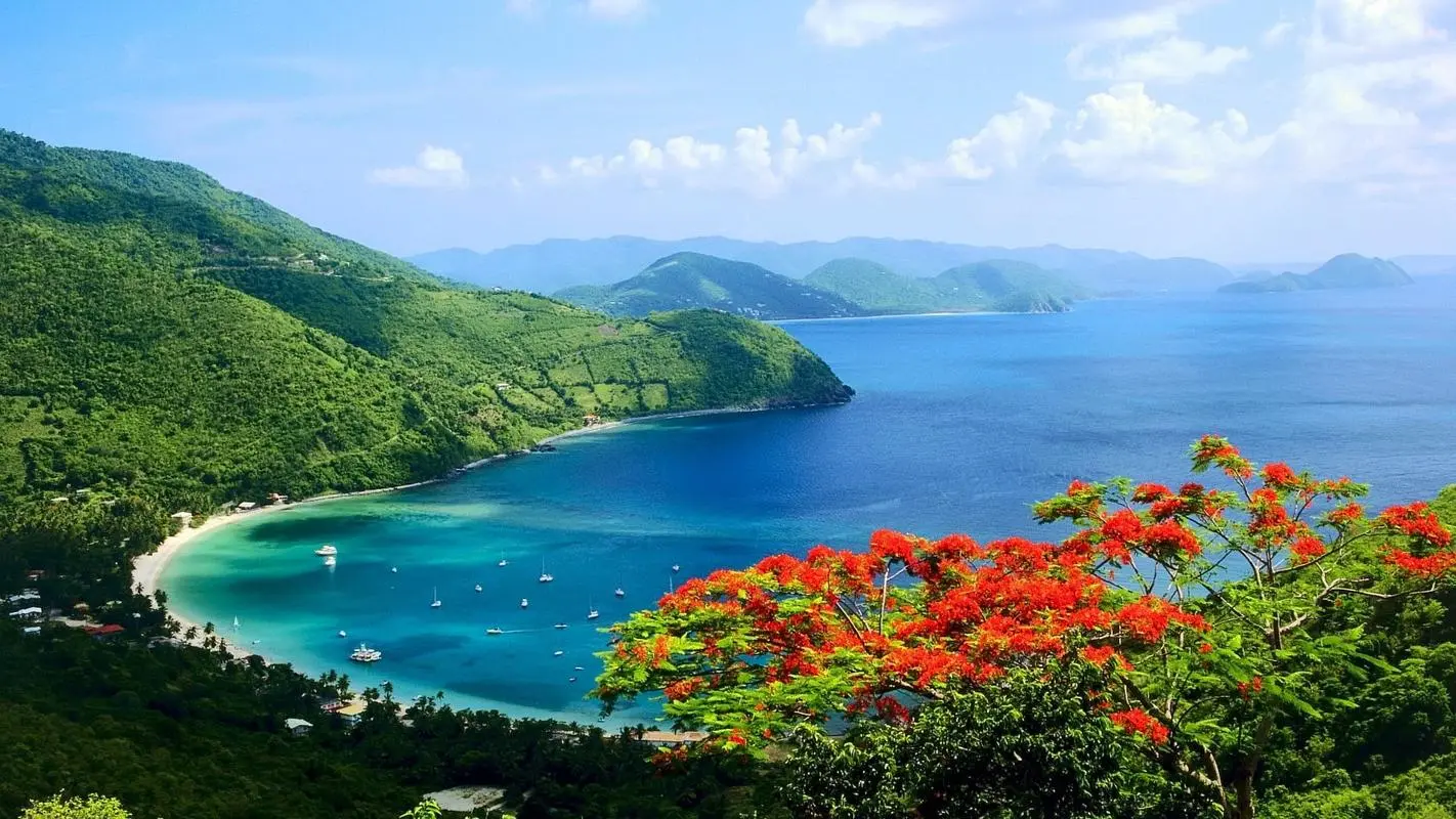 稳定性高效